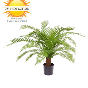 LeopoldFlora Alsophillia kunst Varen XXL 80 cm UV