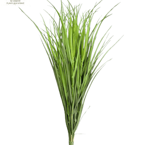 LeopoldFlora Buiten Kunst Rietgras Deluxe 80cm UV groen