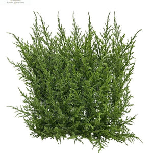 LeopoldFlora Conifeer mat 25x25 cm UV