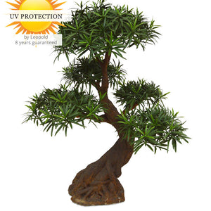 LeopoldFlora Deluxe kunstplant Podocarpus Bonsai x5 UV