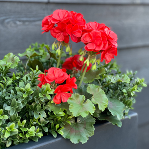 LeopoldFlora Geranium kunstboeket 38cm rood UV