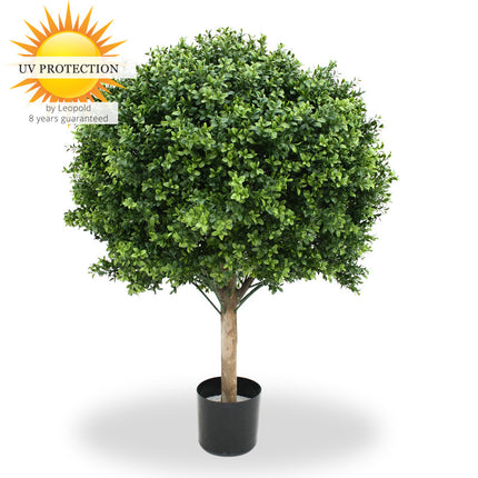 LeopoldFlora Grote kunst buxus Bol 80 cm UV