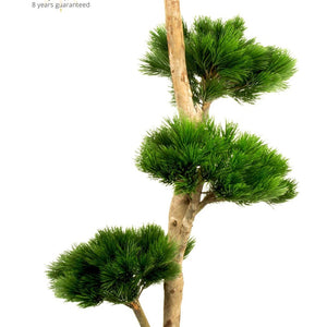 LeopoldFlora Grote Kunstboom Pinus Bonsai 180 UV