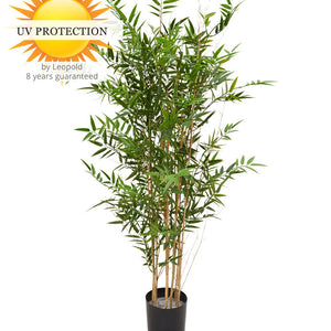 LeopoldFlora Hoge kunst Bamboe 120 cm UV