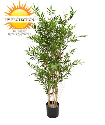 LeopoldFlora Hoge kunst Bamboe 120 cm UV