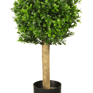 LeopoldFlora Kleine kunst buxus bol 25 cm UV