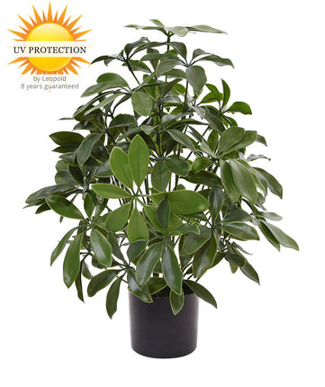 LeopoldFlora Tropische kunstplant Schefflera 50 UV