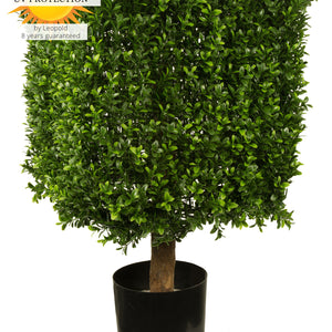LeopoldFlora UV Buxus Kubus 40 cm