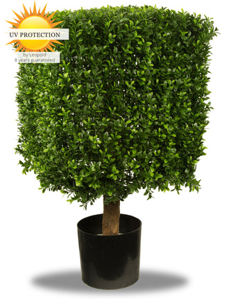 LeopoldFlora UV Buxus Kubus 40 cm