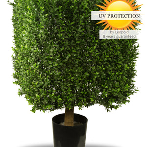 LeopoldFlora UV Buxus kubus 50 cm