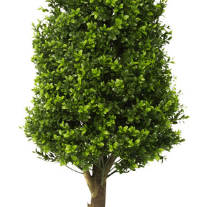 LeopoldFlora UV Buxus Pyramide 110 cm