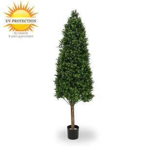 LeopoldFlora UV Buxus Pyramide 170 cm