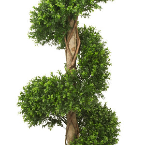 LeopoldFlora UV Buxus Spiraal 170 cm