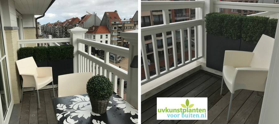 kunst-buxus-voor-buiten