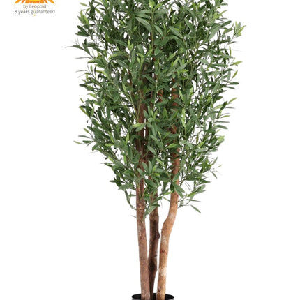 Collection image for: Kunst  Olijf