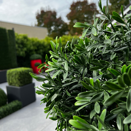 buiten-kunst-ilex-catergorie