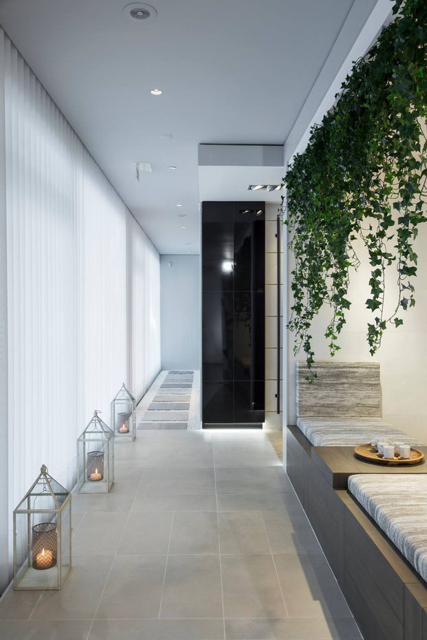 <h3>Kunst Klimop</h3>