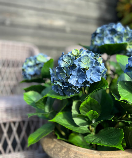 detail-kunst-hortensia