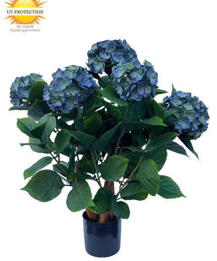 blauwe-kunst-hortensia