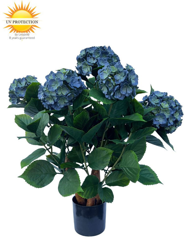 blauwe-kunst-hortensia
