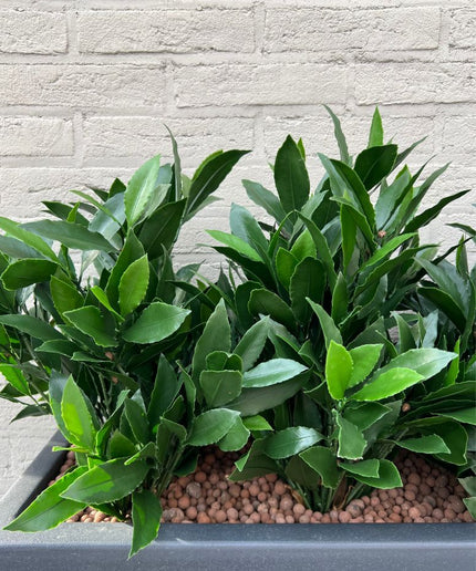 laurier-kunstplant-met-hydrokorrels 