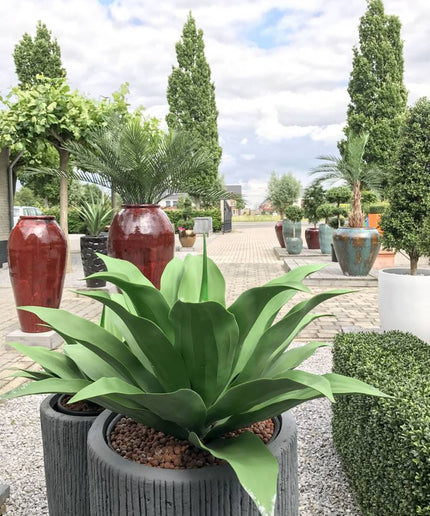 LeopoldFlora Agave kunst vetplant  50 cm UV