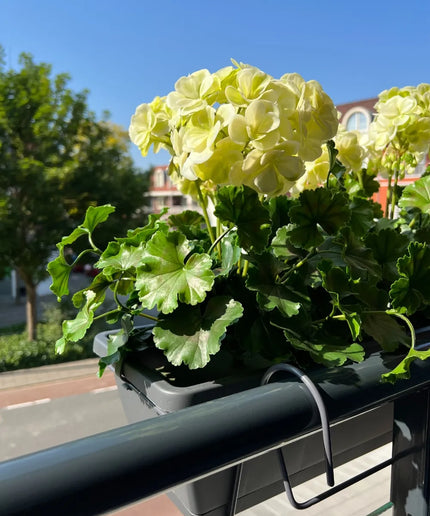 LeopoldFlora All-in one Kunst Geranium set UV