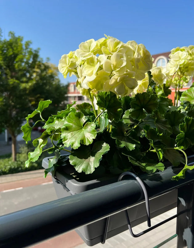 LeopoldFlora All-in one Kunst Geranium set UV