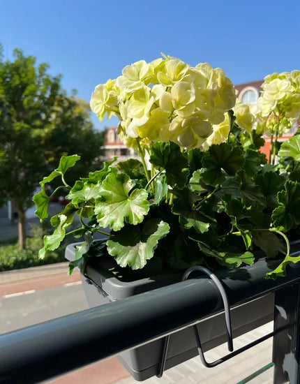 LeopoldFlora All-in one Kunst Geranium set UV