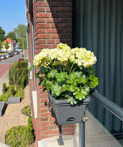 LeopoldFlora All-in one Kunst Geranium set UV