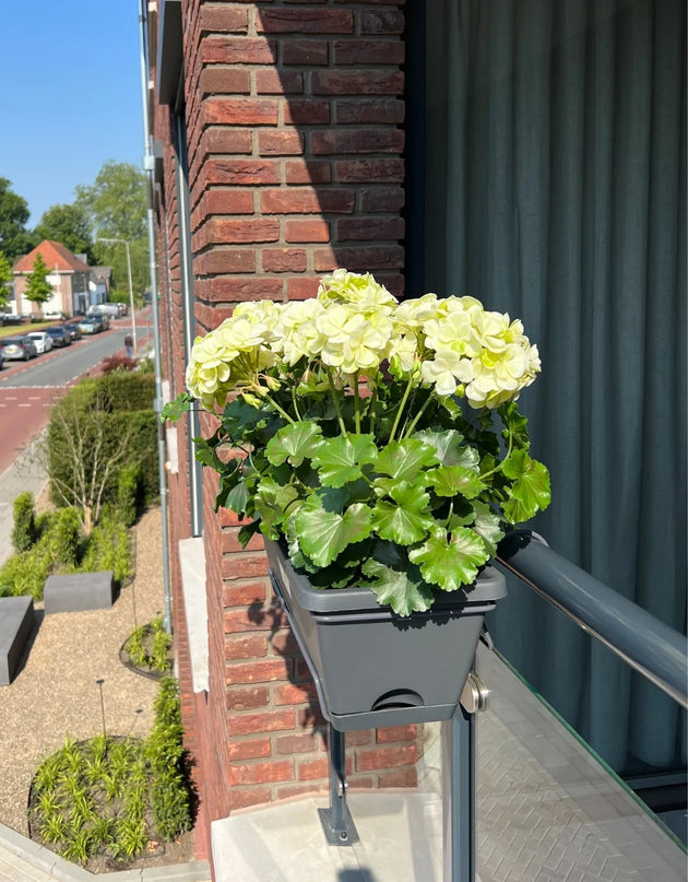 LeopoldFlora All-in one Kunst Geranium set UV