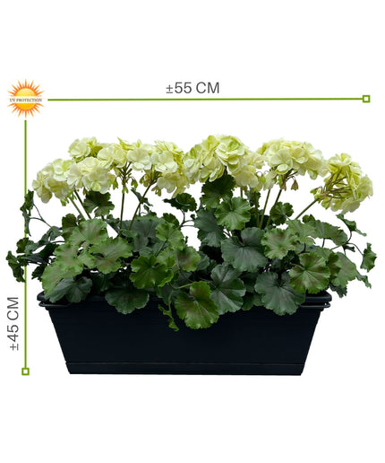 LeopoldFlora All-in one Kunst Geranium set UV