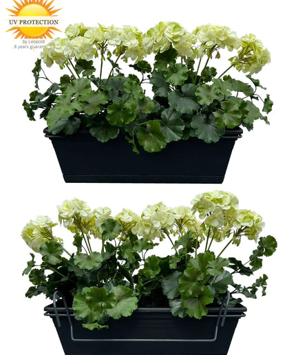LeopoldFlora All-in one Kunst Geranium set UV