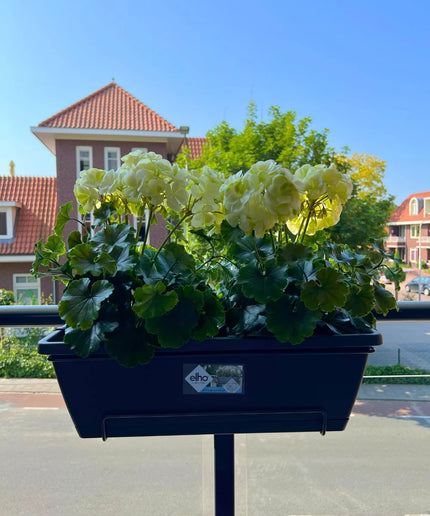 LeopoldFlora All-in one Kunst Geranium set UV