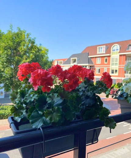 LeopoldFlora All-in one Kunst Geranium set UV