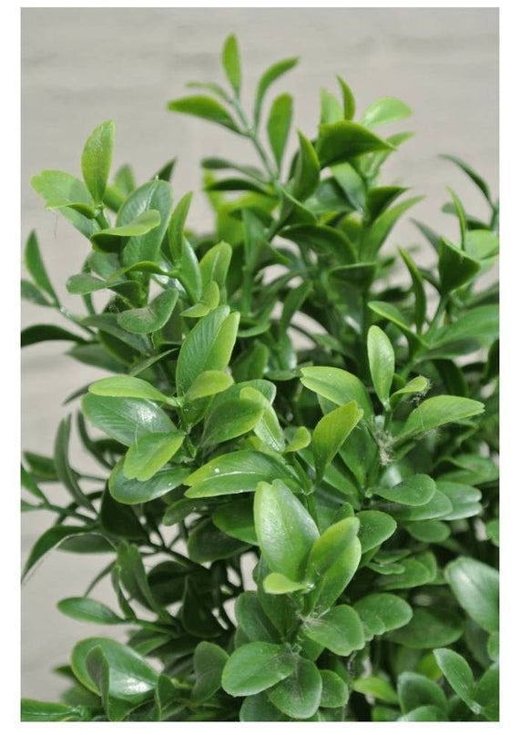 LeopoldFlora Buiten Kunst Buxus Bol 40 cm UV