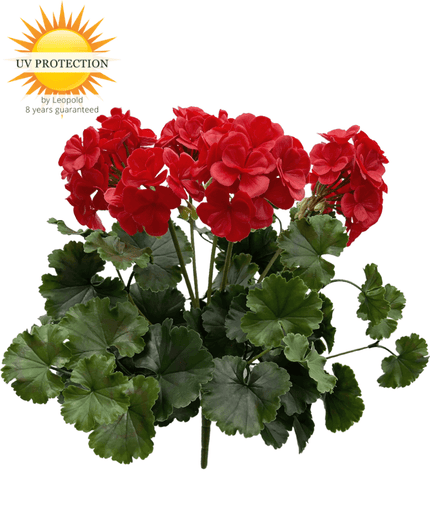 LeopoldFlora Buiten kunst geranium XL rood uv-bestendig