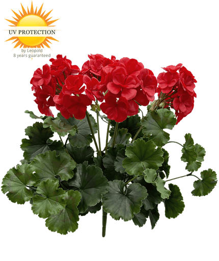 LeopoldFlora Buiten kunst geranium XL rood uv-bestendig