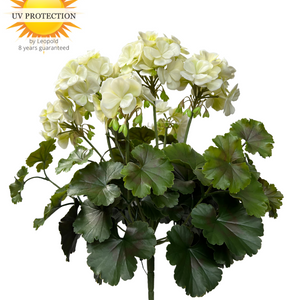 LeopoldFlora Buiten kunst geranium XL wit uv-bestendig