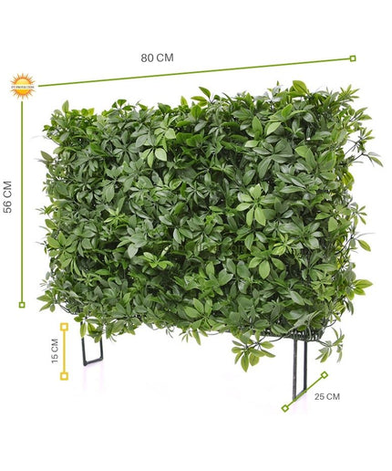 LeopoldFlora Buiten kunsthaag Schefflera 80x25x56 cm UV