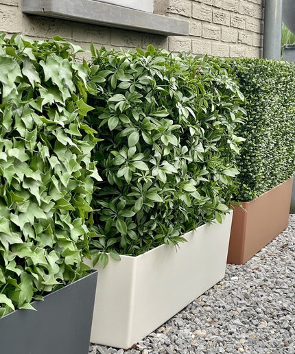 LeopoldFlora Buiten kunsthaag Schefflera 80x25x56 cm UV