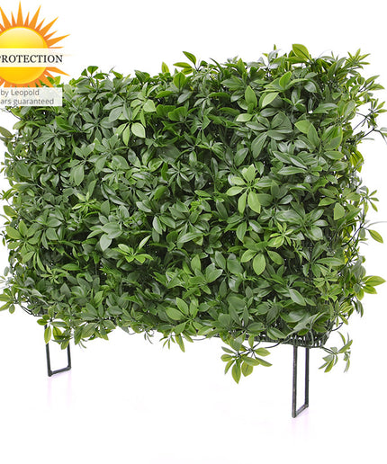 LeopoldFlora Buiten kunsthaag Schefflera 80x25x56 cm UV