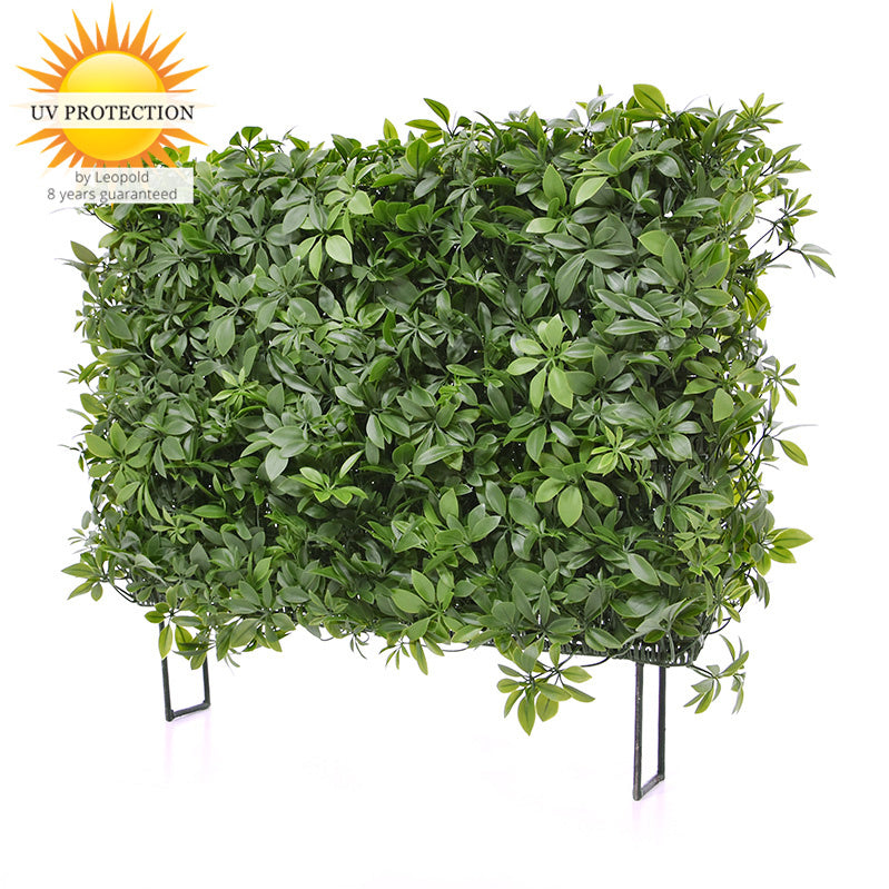 schefflera arboricola hedge Artificial Outdoor Schefflera Hedge