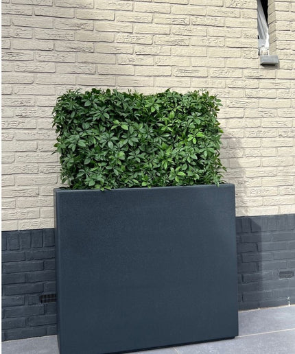 LeopoldFlora Buiten kunsthaag Schefflera 80x25x56 cm UV