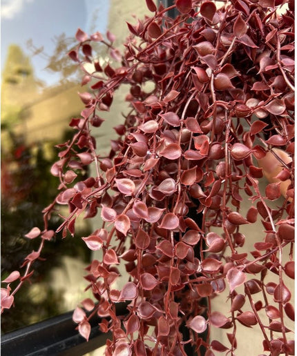 LeopoldFlora Buiten kunsthangplant Callisia burgundy uv-proof
