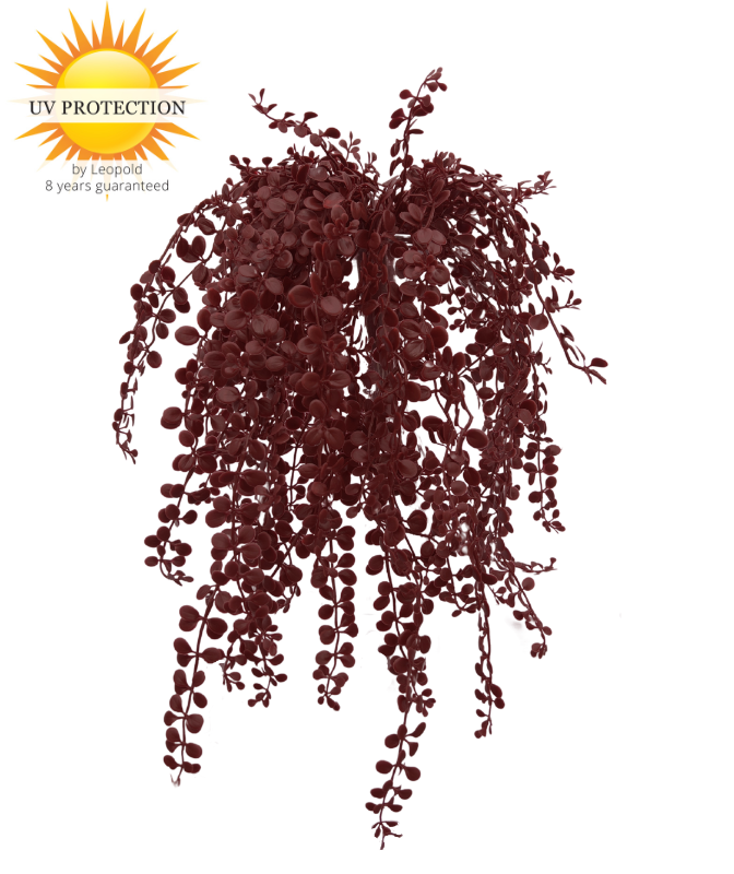 LeopoldFlora Buiten kunsthangplantje Dischidia burgundy uv-bestendig