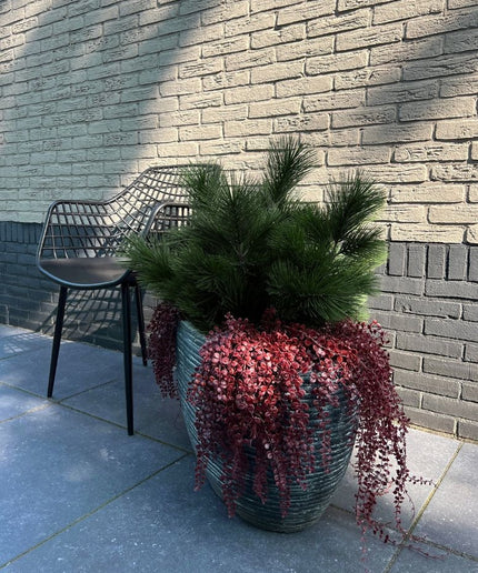 LeopoldFlora Buiten kunsthangplantje Dischidia burgundy uv-bestendig