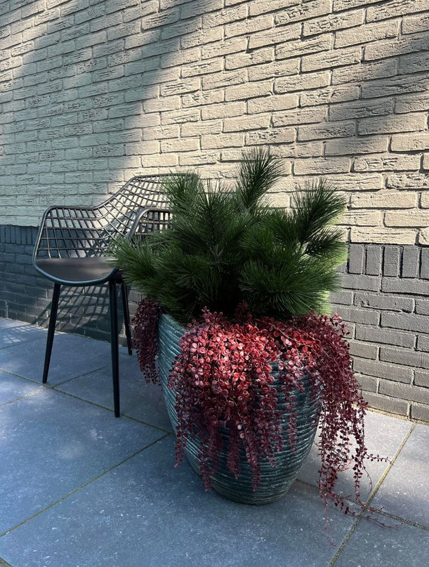 LeopoldFlora Buiten kunsthangplantje Dischidia burgundy uv-bestendig