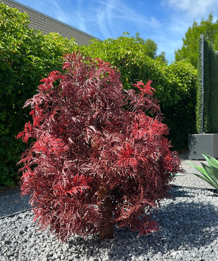 LeopoldFlora Buiten kunstplant Ming Aralia Burgundy uv-bestendig