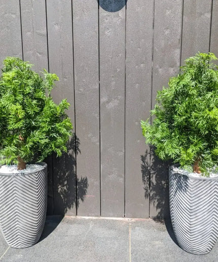 LeopoldFlora Buiten kunstplant Ming Aralia groen uv-bestendig